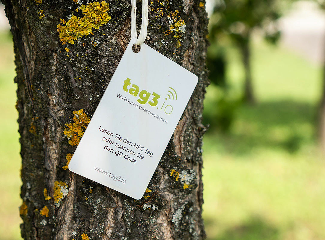 Schild auf Baum