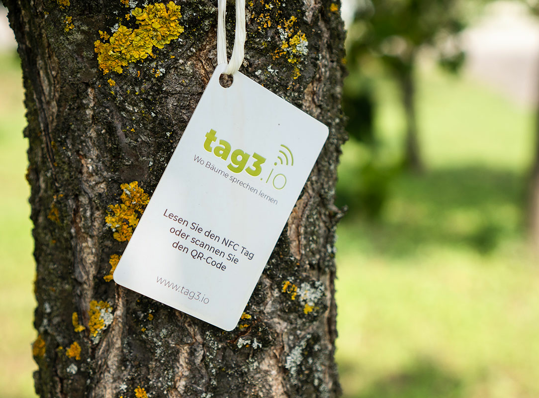 Schild auf Baum